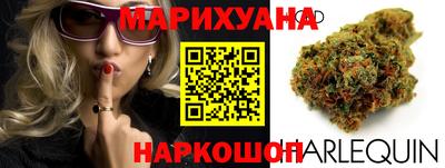 крисы Тулун