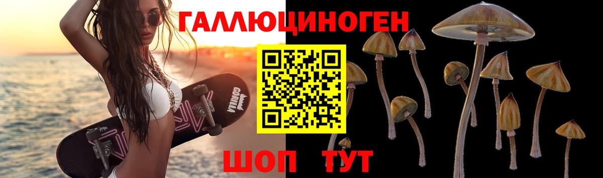Псилоцибиновые грибы Psilocybine cubensis  Вход с VPN  Псилоцибиновые грибы прущие грибы  Новосибирск 